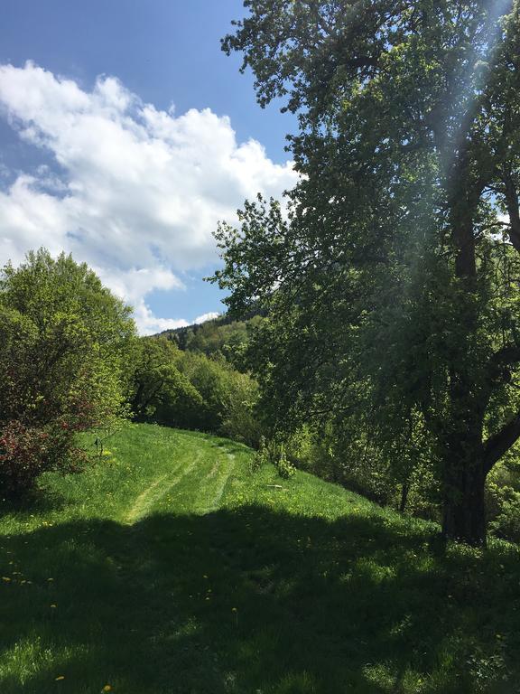 Ferienhaus Hochbrand Rabenstein Buitenkant foto
